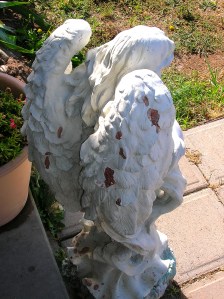 Blood on Angel's wings