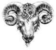 Ram's Head